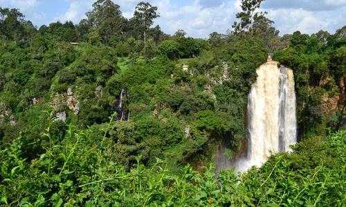 padure Kenya jpg