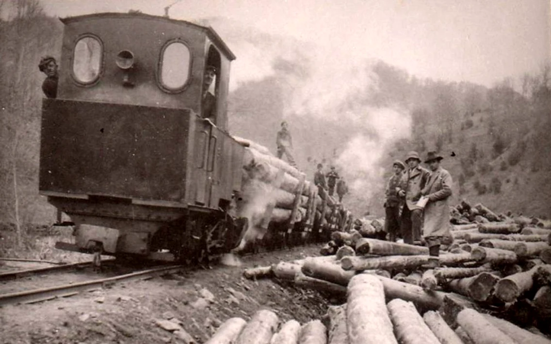 Căi ferate forestiere din Valea Jiului  Anul 1956  Foto  Richard Marschalko (7) 001 jpg