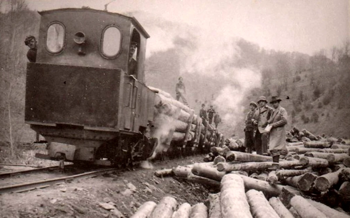 Așa arătau căile ferate forestiere din Hunedoara. Foto Richard Marschalko, 1964. 