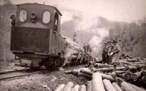 Căi ferate forestiere din Valea Jiului  Anul 1956  Foto  Richard Marschalko (7) 001 jpg