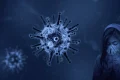 simptome virus gripa   foto pixabay   willgard webp