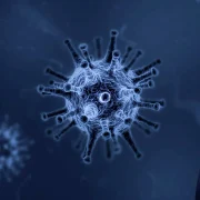 simptome virus gripa foto pixabay willgard webp