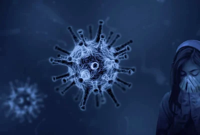 simptome virus gripa foto pixabay willgard webp