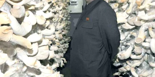 liderul nord-coreean kim Jong-un viziteaza o ferma de ciuperci foto reuters
