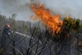 romania sub imperiul flacarilor incendii de vegetatie uscata si padure in 35 de judete 164744 webp