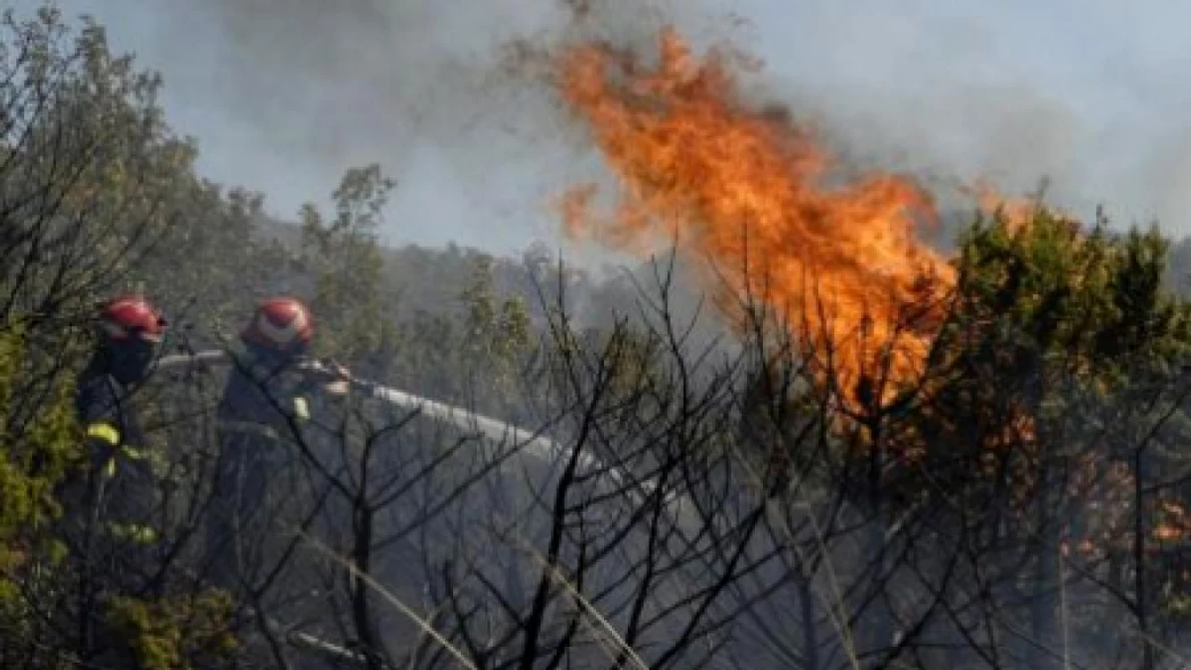 Incendiu de pădure