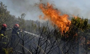 romania sub imperiul flacarilor incendii de vegetatie uscata si padure in 35 de judete 164744 webp