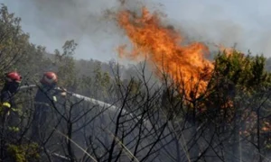 romania sub imperiul flacarilor incendii de vegetatie uscata si padure in 35 de judete 164744 webp