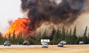 Megaincendiul a devastat peste 204 000 de hectare  jpeg