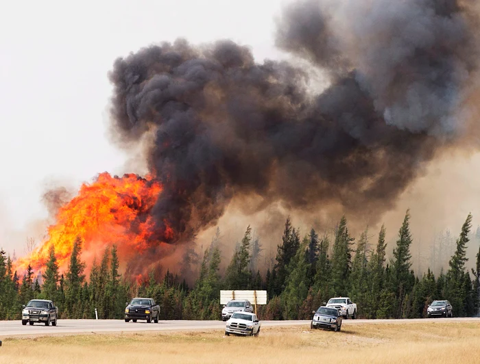 Megaincendiul a devastat peste 204.000 de hectare