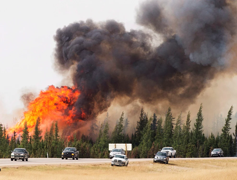 Megaincendiul a devastat peste 204.000 de hectare