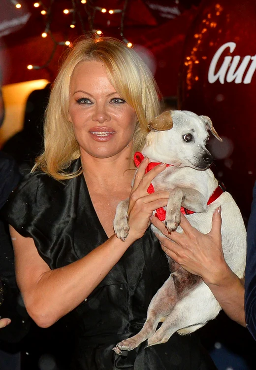 Pamela Anderson