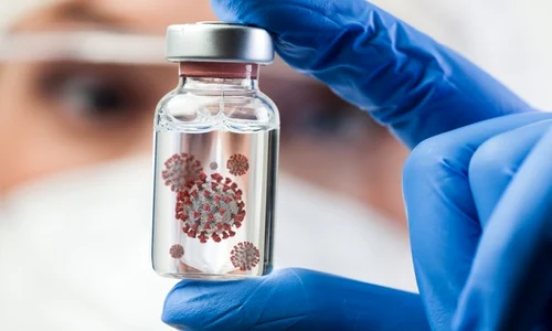 coronavirus 0 1 jpeg