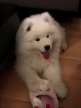 15241321 1658792240813177 3970388079285194323 n jpeg