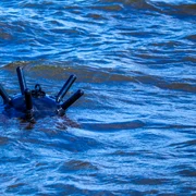 Mina marina FOTO Shutterstock jpg