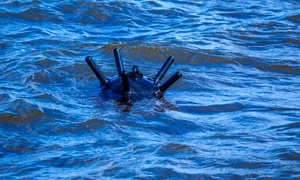 Mina marina FOTO Shutterstock jpg