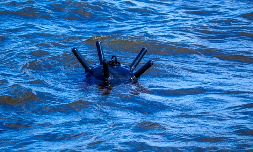 Mina marina FOTO Shutterstock jpg