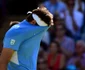 roger federer del potro