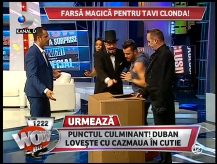 Tavi s-a repezit la cutia in care se afla iubita lui