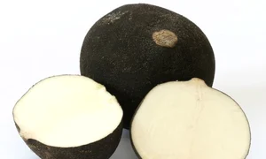 ridiche neagra 0 jpeg