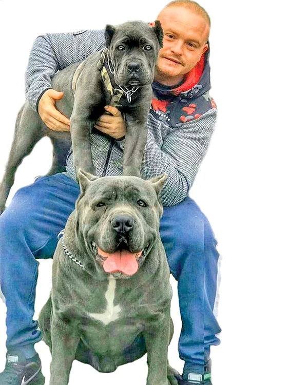 Mihai Nae,  alături de  doi “elevi”