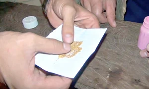 Actorul a realizat  un documentar  despre căutătorii de aur jpeg