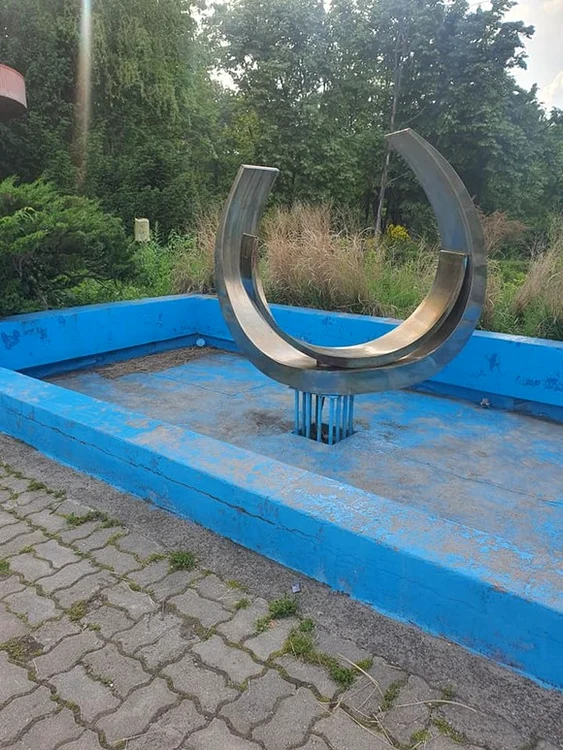 
    Toma (5 ani), fiul Amaliei, nu mai merge la  joacă în parc de teama căpușelor. Câinele Amaliei Năstase a luat trei căpușe din iarba înaltă  