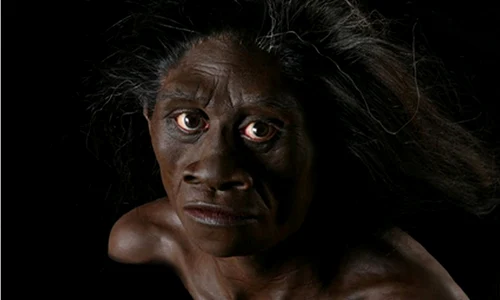 Soarta enigmatică a „hobbiților” care au trăit cu adevărat pe insula Flores  jpeg