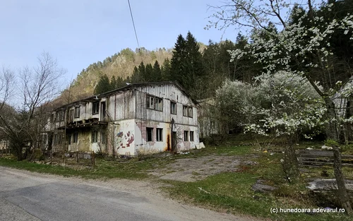 Fosta Colonie muncitoreasca Bradațel Foto Danile Guță ADEVĂRUL (24) jpg