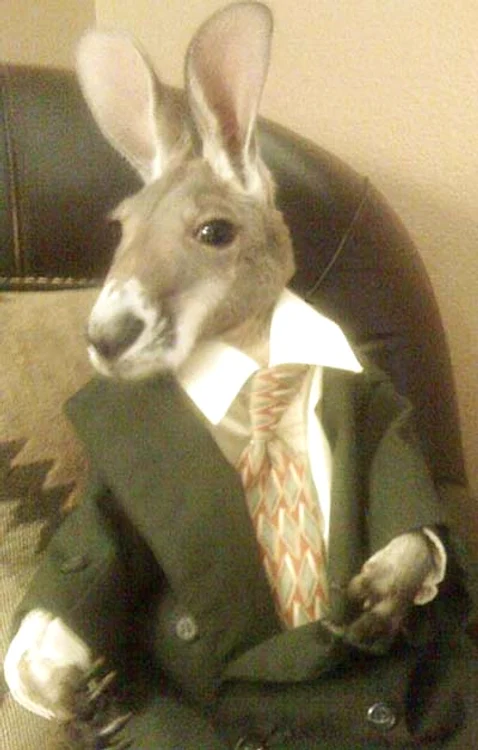 Mami, te iubesc  aşa de mult!