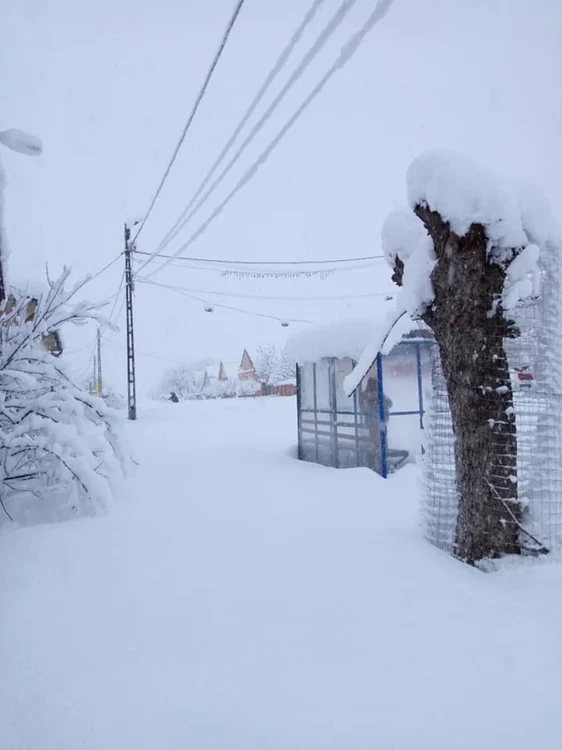 Localitatea Babşa este acoperită de zăpadă