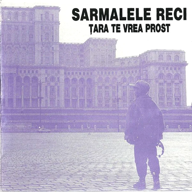 Din ʼ95, cu dragoste, ironie și vinil jpeg