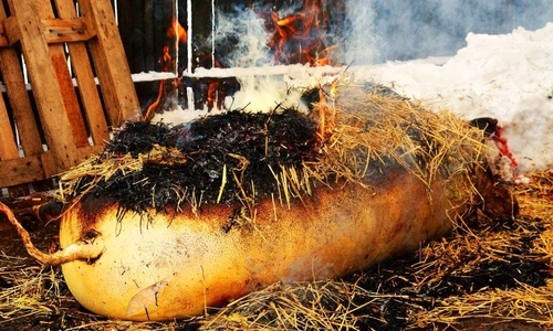 1 66551 original jpg jpeg