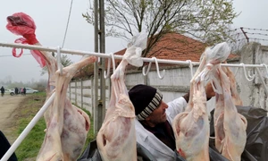 miei de paşte slatina - foto alina mitran