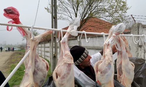 miei de paşte slatina - foto alina mitran