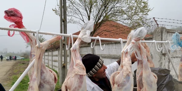 miei de paşte slatina - foto alina mitran