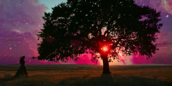 Cosmos - piesa lui Armin Van Buuren cu Alexandra Bădoi filmată la Greci în Munţii Măcinului din Dobrogea Sursa Youtube