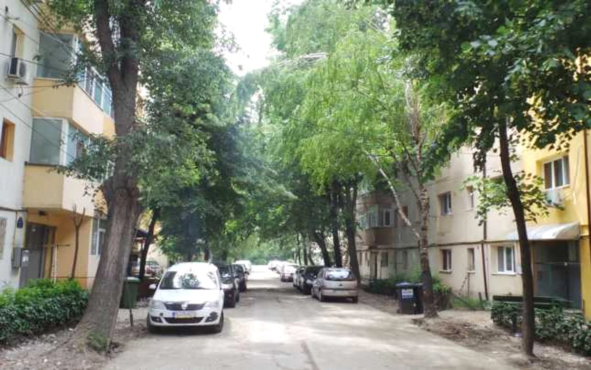 Copacii de pe strada Magheru vor fi tăiaţi