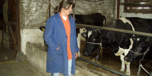 Sateni scoliti in Franta