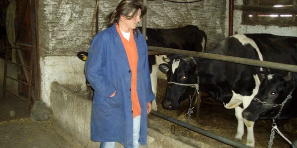 Sateni scoliti in Franta