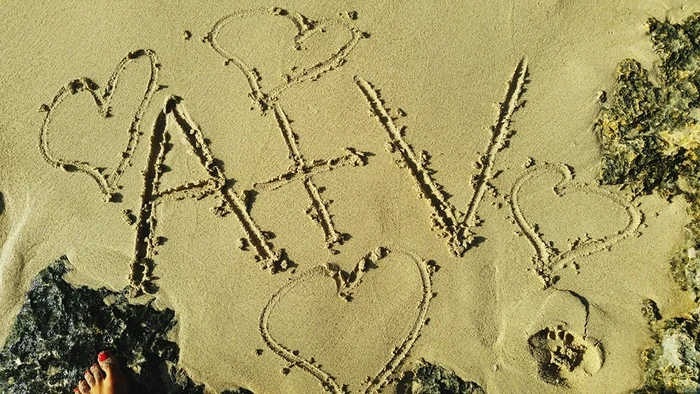 "Porumbeii" şi-au făcut declaraţii de dragoste la malul mării