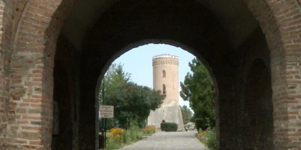 Schelet curtea Domneasca