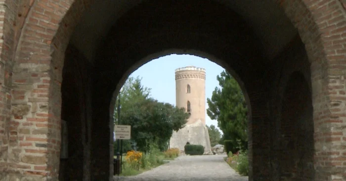 Schelet curtea Domneasca