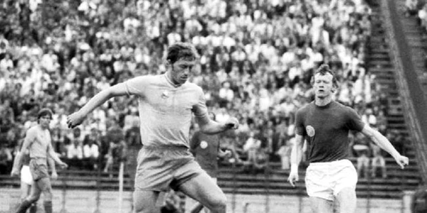 nicolae dobrin fc arges