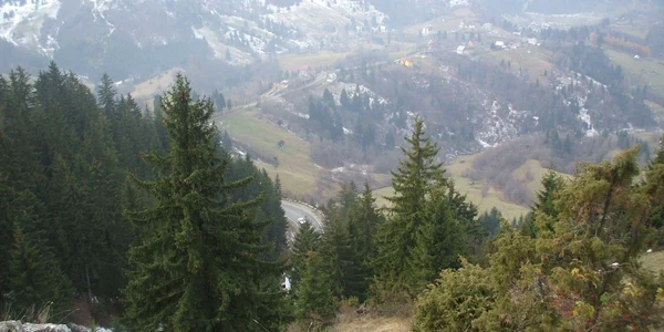 Foto: arhivă