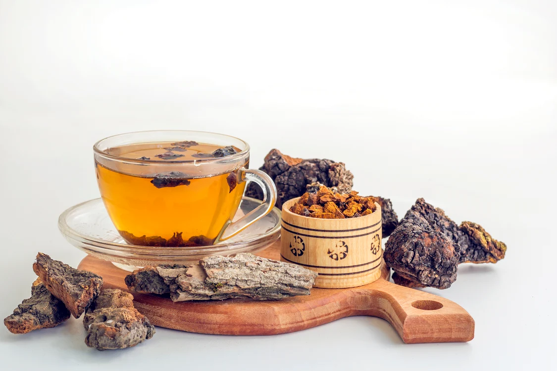 bucăți de chaga