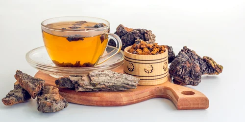 Ciuperci FOTO Shutterstock (2) jpeg