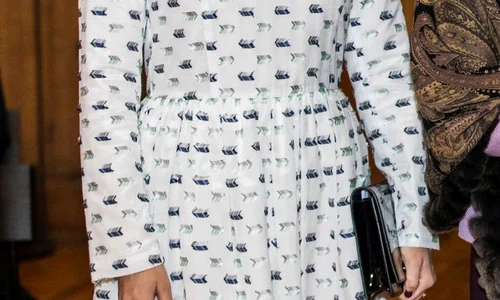 Swedish Royals Attend A Symposium on 'Dyslexialand' jpeg