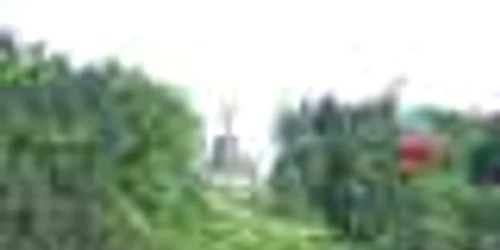 NEAMŢ: Telegondola intră în revizie tehnică