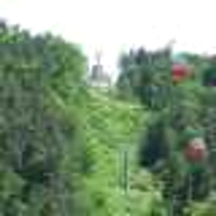NEAMŢ: Telegondola intră în revizie tehnică